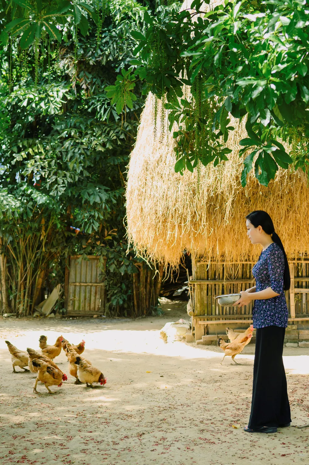 Dung dị và bình yên với “Về miền ký ức” của sao mai Huyền Trang ảnh 1