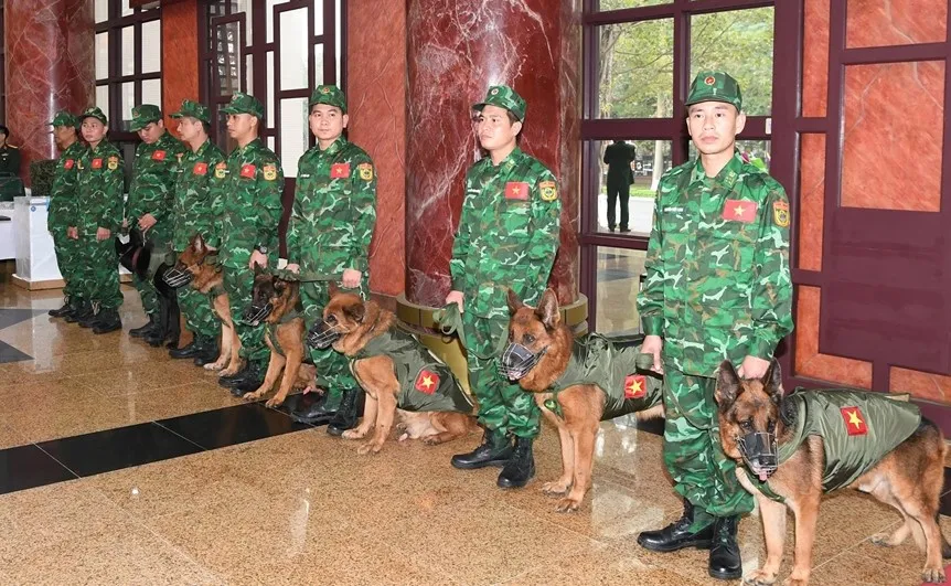 Các huấn luyện viên và khuyển cảnh sẽ tham gia vào công tác cứu trợ thảm họa Các huấn luyện viên và khuyển cảnh sẽ tham gia vào công tác cứu trợ thảm họa