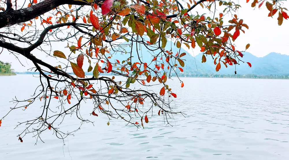 Quần thể danh thắng Tam Chúc được xếp hạng di tích danh thắng cấp quốc gia bởi những giá trị thiên nhiên, khảo cổ, đa dạng sinh học Quần thể danh thắng Tam Chúc được xếp hạng di tích danh thắng cấp quốc gia bởi những giá trị thiên nhiên, khảo cổ, đa dạng sinh học