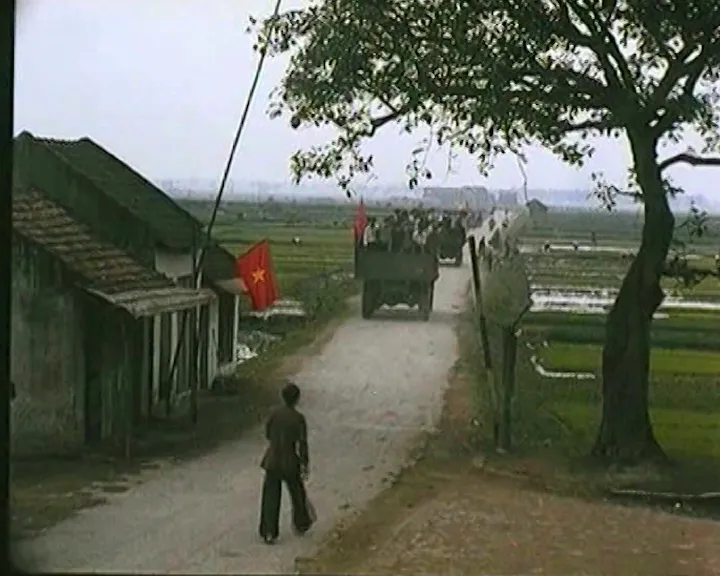 مشهد من الفيلم Cay bach dan vo danh.00_00_50_16.Still002.jpg