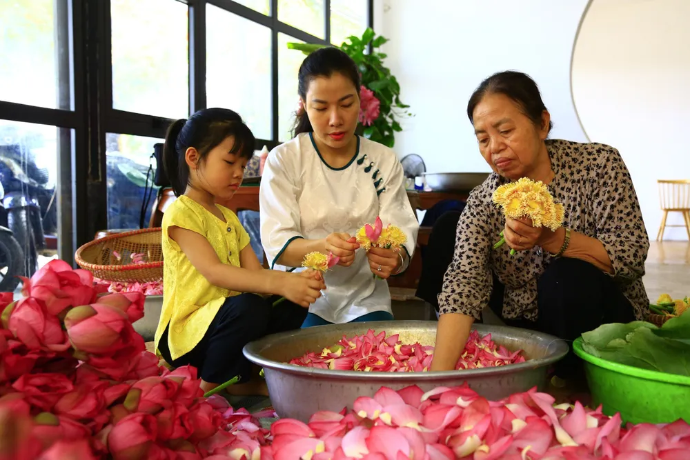 Nghề làm trà sen ở Tây Hồ (Hà Nội) là di sản phi vật thể quốc gia 