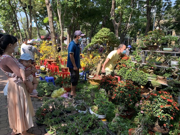 市民今日早上紛紛到各春花市買花。
