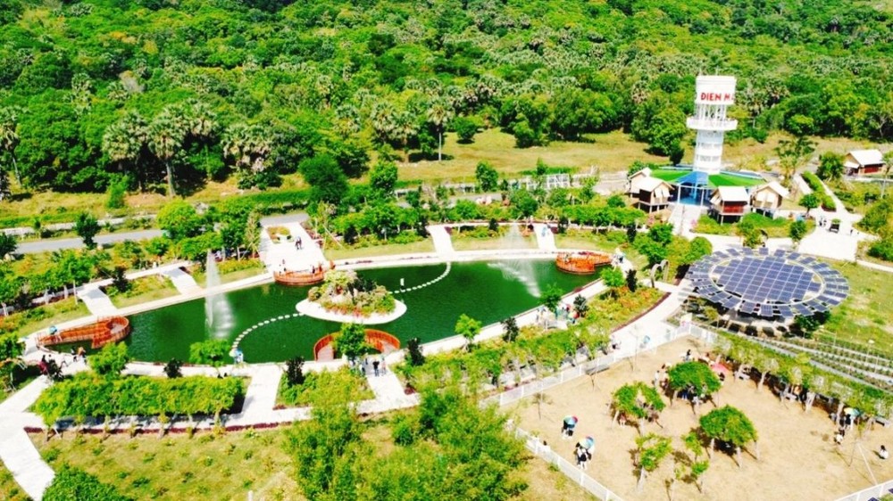 安全春節的大自然維生素 ảnh 1