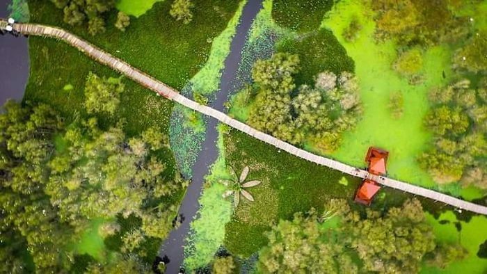 西南地區熱帶生物多樣化群體保護“王國”。