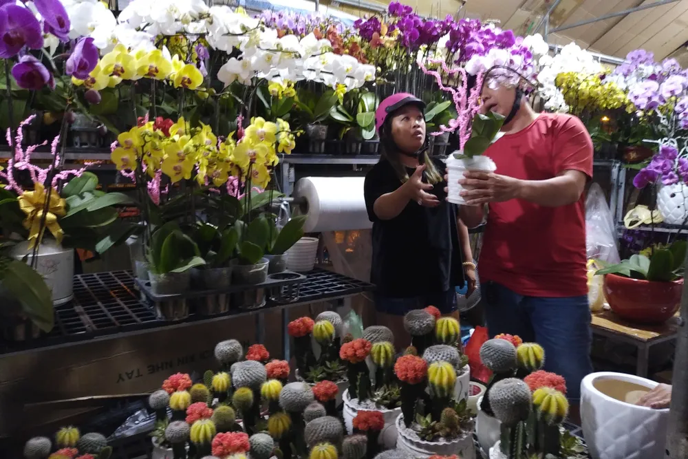 Gần 600 nhà vườn, nghệ nhân tham gia Hội hoa xuân “Trên bến dưới thuyền” ảnh 4 Gần 600 nhà vườn, nghệ nhân tham gia Hội hoa xuân “Trên bến dưới thuyền” ảnh 4