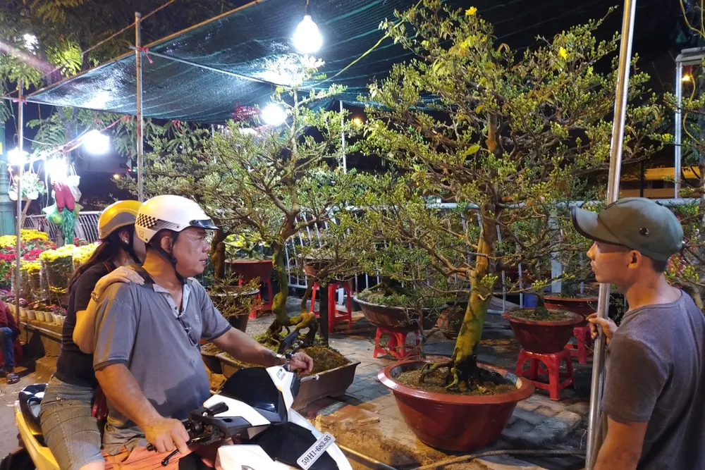 Gần 600 nhà vườn, nghệ nhân tham gia Hội hoa xuân “Trên bến dưới thuyền” ảnh 3 Gần 600 nhà vườn, nghệ nhân tham gia Hội hoa xuân “Trên bến dưới thuyền” ảnh 3