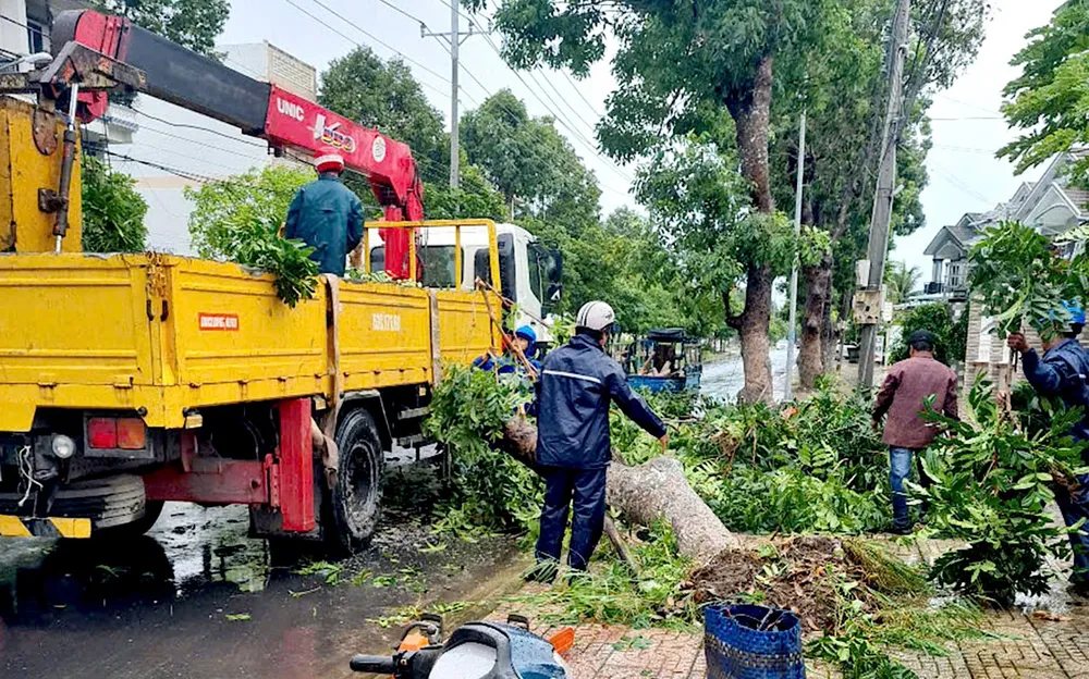 Ngành chức năng phường Gò Công, tỉnh Đồng Tháp dọn dẹp cây xanh bị ngã đổ do mưa gió. Ảnh: NGỌC PHÚC 698fb66b8a3803665a29.jpg