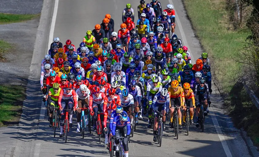 Quang cảnh đường đua