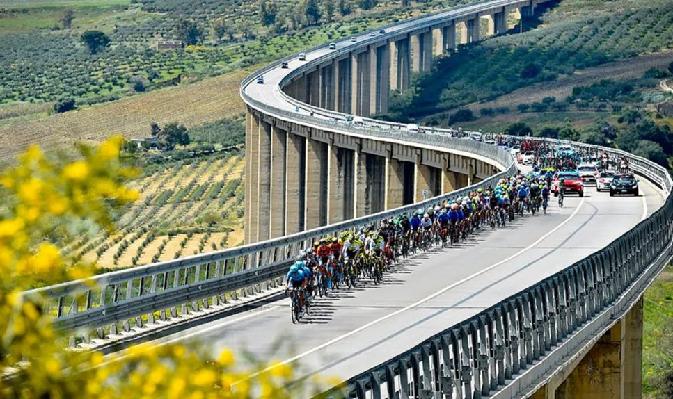 Quang cảnh đường đua