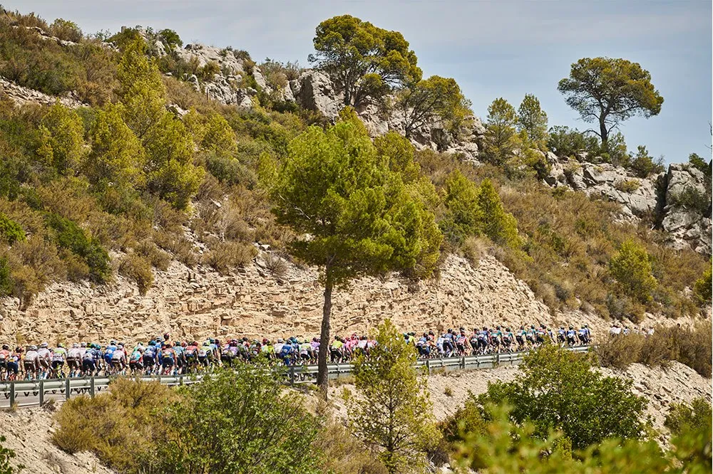 Quang cảnh đường đua