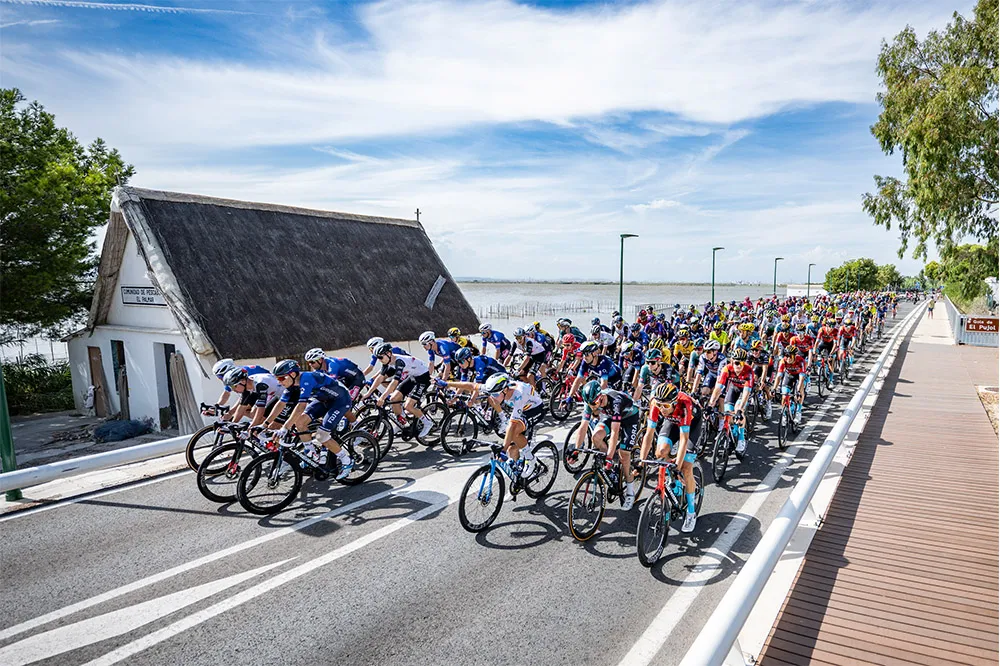 Quang cảnh đường đua Quang cảnh đường đua