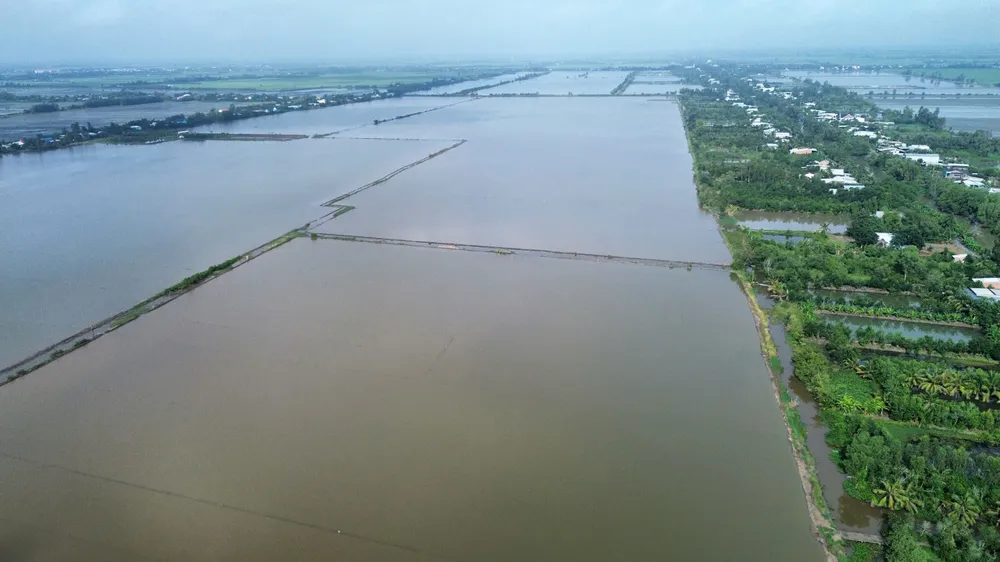 Nước lũ uy hiếp hàng trăm ha diện tích canh tác nông nghiệp tại vùng Đồng Tháp Mười, tỉnh Tây Ninh cao.jpg