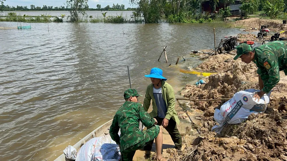 Lực lượng Bộ đội Biên phòng Sông Trăng giúp dân gia cố đê ngăn lũ 1000015760.jpg