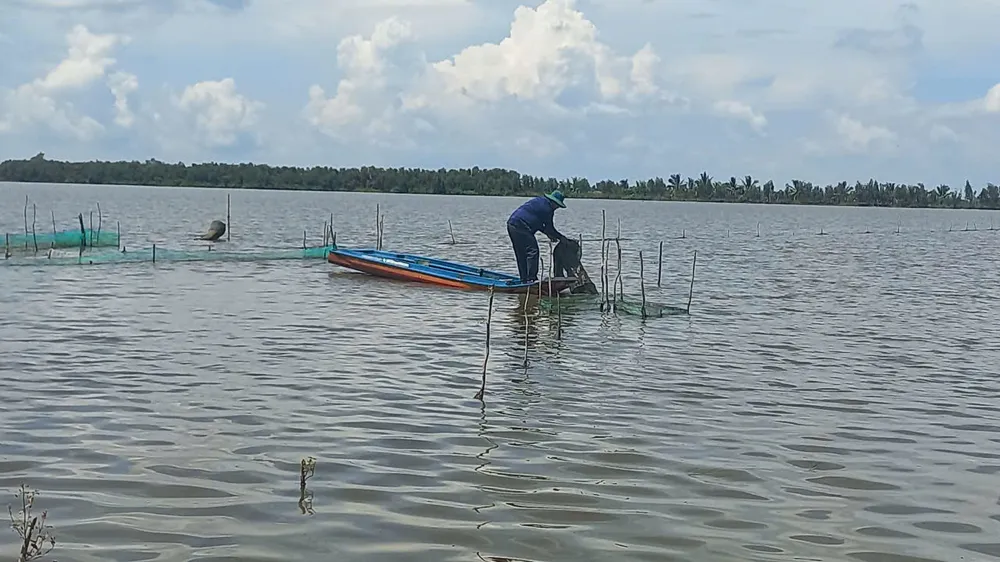 Nước trên ruộng còn cao nên hàng ngàn ha lúa tại vùng Đồng Tháp Mười (tỉnh Tây Ninh) chưa thể gieo sạ