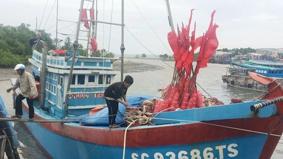 Huyện Cần Giờ sẵn sàng ứng phó với bão Tembin