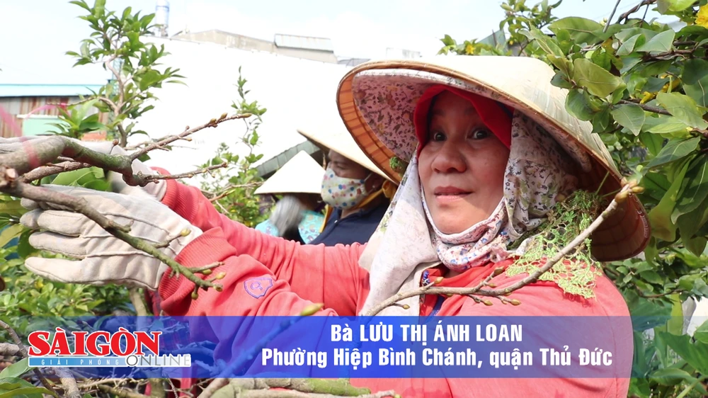 Hoa kiểng tết 2018 - Sẵn sàng khoe sắc...!