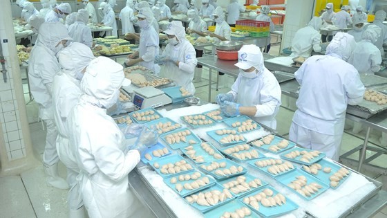 HCMC’s export turnover signals slowdown
