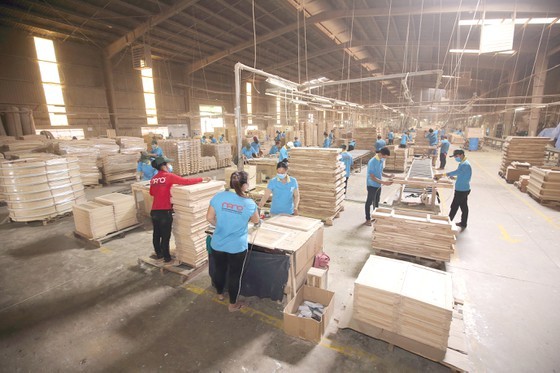 Processing wood for export. (Photo: SGGP)