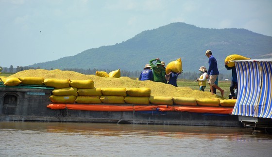 An Giang Province asks for permission to export rice