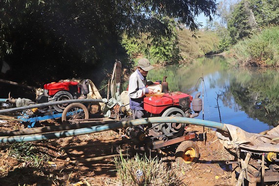 A farmer in Loc Ngai Commune in Bao Lam District in Lam Dong Province uses a pump to get water to save his coffee trees. (Photo: SGGP)