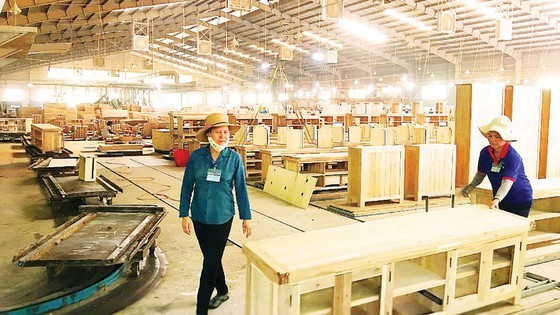 Vietnam develops sustainable afforestation ảnh 4