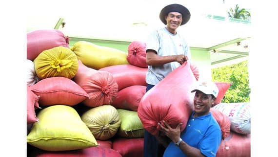 Farmers in the Mekong Delta enjoy a bumper rice crop. (Photo: SGGP)