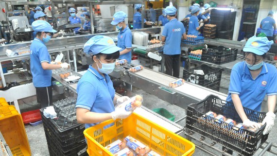 Poultry egg production at Vinh Thanh Dat Company. (Photo: SGGP)