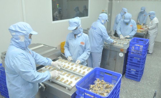 Production at a company in Ho Chi Minh City. (Photo: SGGP)