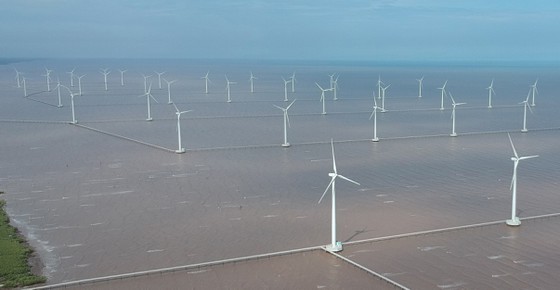 Wind power in Bac Lieu Province. (Photo: SGGP)