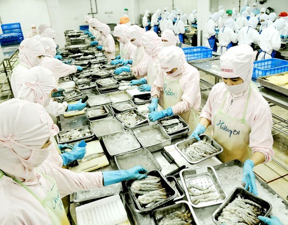 Processing food for export at Cofidec Company in District 12, HCMC. (Photo: SGGP)