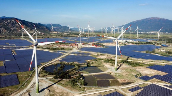 CCIBV pledges to accompany Vietnam in boosting green growth ảnh 1 CCIBV pledges to accompany Vietnam in boosting green growth ảnh 1