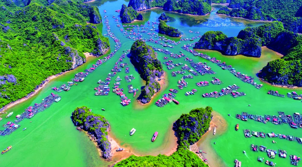 Saigontourist trao giải và công bố sách ảnh “Tận hưởng bản sắc Việt” lần 2 ảnh 4