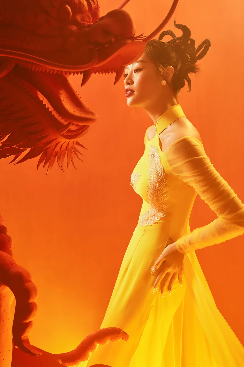 Bộ ảnh Tết Nhâm Dần cùng hình tượng rồng của Hoa hậu Khánh Vân ảnh 9