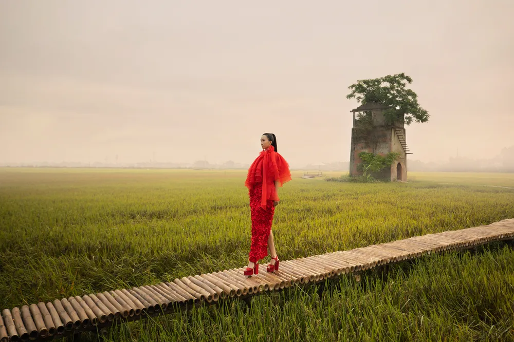 Sàn diễn độc đáo 150m bằng tre trên cánh đồng lúa  ảnh 12