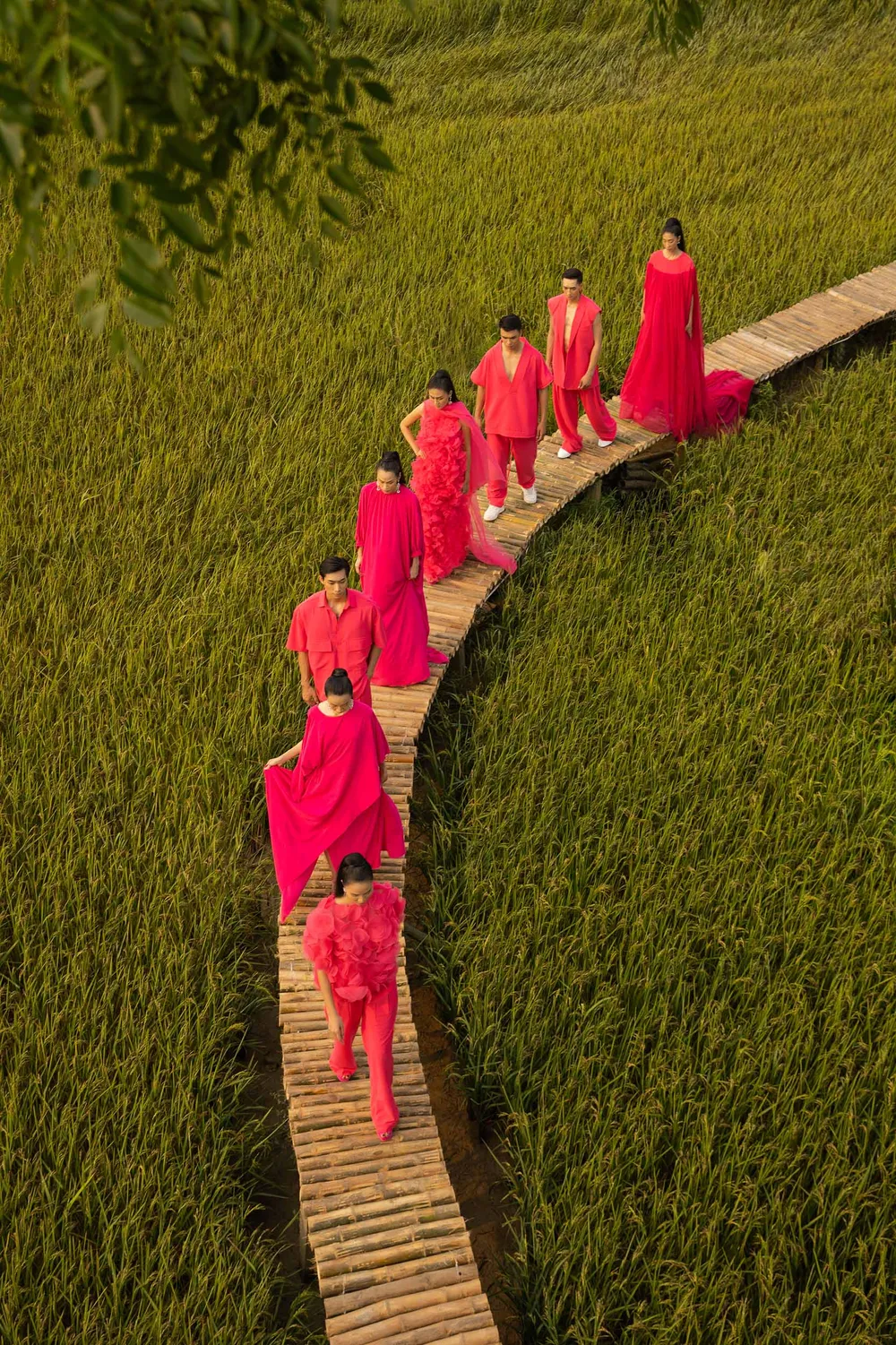 Sàn diễn độc đáo 150m bằng tre trên cánh đồng lúa  ảnh 8