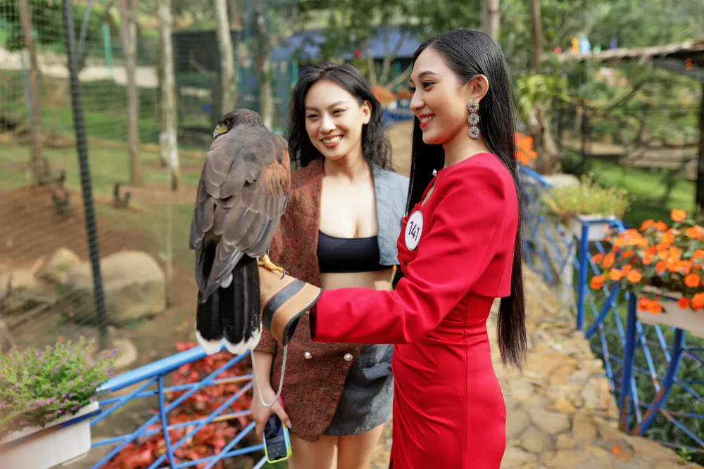 Thí sinh Hoa hậu Hoàn vũ Việt Nam 2022 tập trung tại Bảo Lộc, tham gia hoạt động đồng hành đầu tiên vòng bán kết, chung kết ảnh 3 Thí sinh Hoa hậu Hoàn vũ Việt Nam 2022 tập trung tại Bảo Lộc, tham gia hoạt động đồng hành đầu tiên vòng bán kết, chung kết ảnh 3