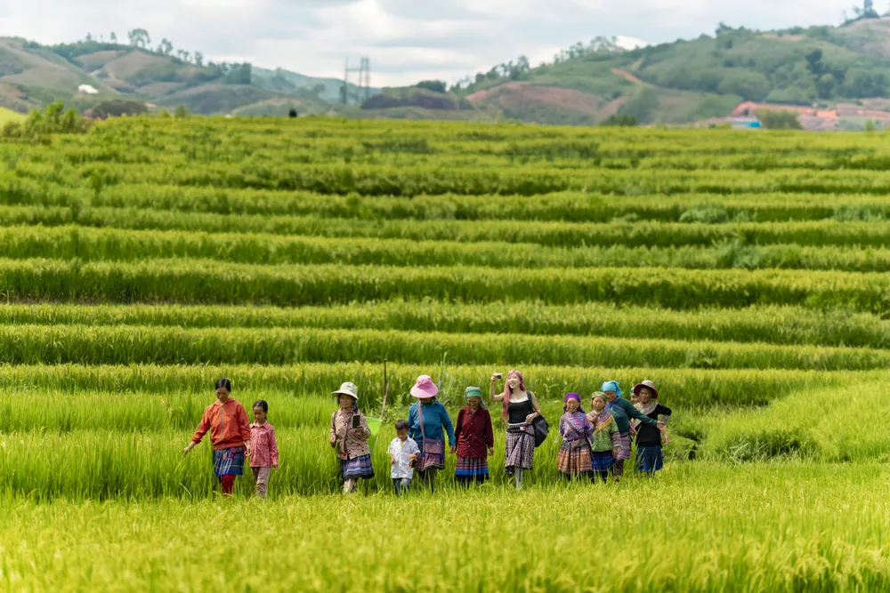 Величественный и поэтичный Северо-Запад в музыкальном клипе «Forever Vietnamese» от Trang Phap D2D_H_0104.jpeg
