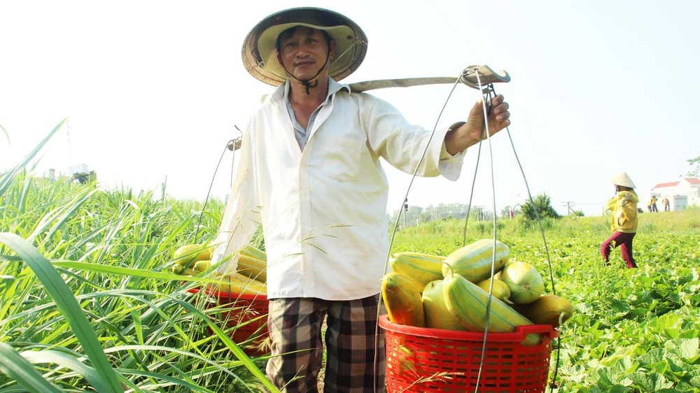 Nông dân Trần Văn Tài gánh dưa gang lên QL1A bán. Ảnh: NGỌC OAI