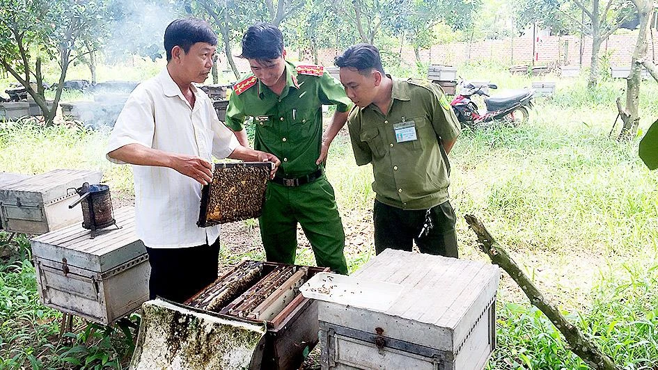 Anh Vũ Ngọc Cường với đàn ong của mình