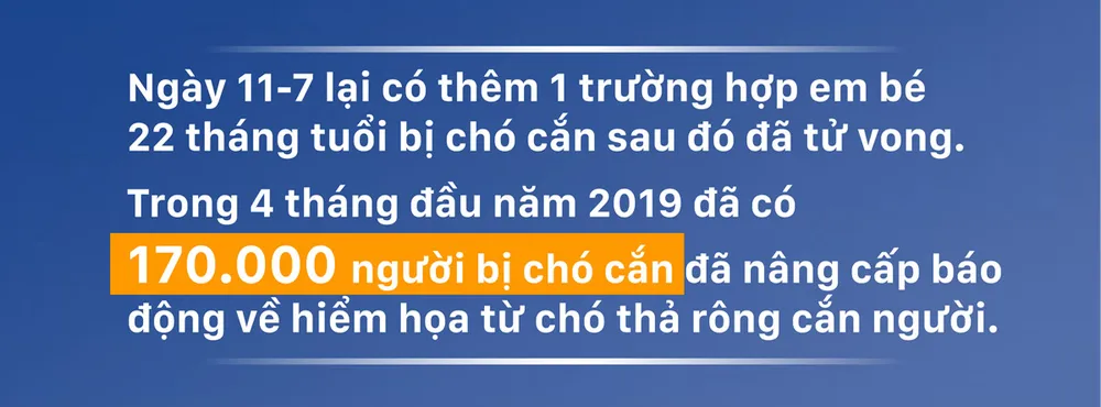 Hiểm họa chó tấn công người ảnh 1