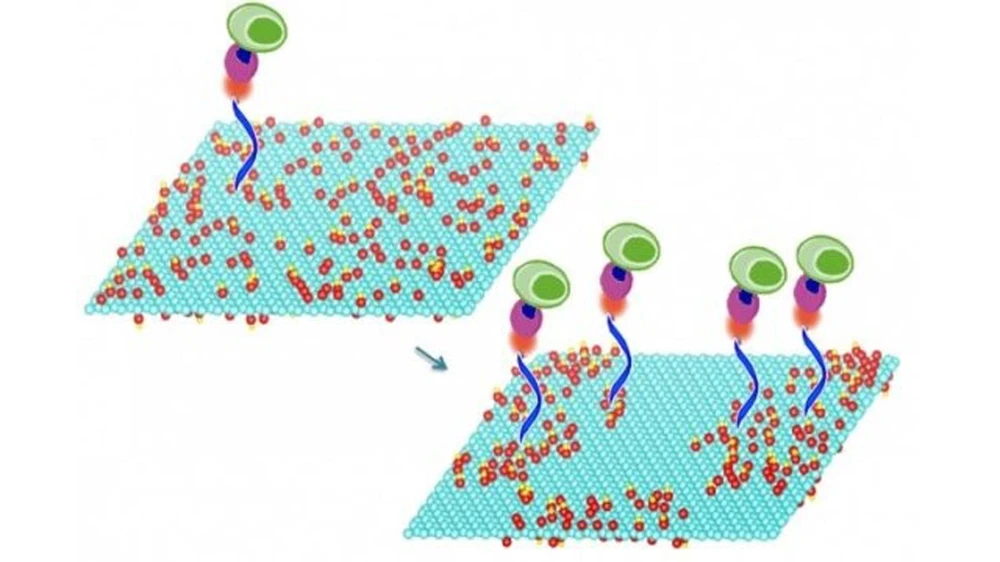 Hiệu quả của Graphene làm chất phụ gia động cơ