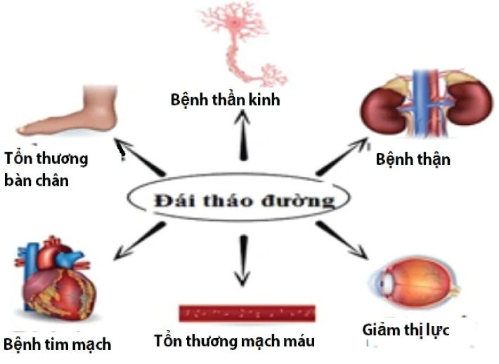 ​Khắc tinh của tiểu đường