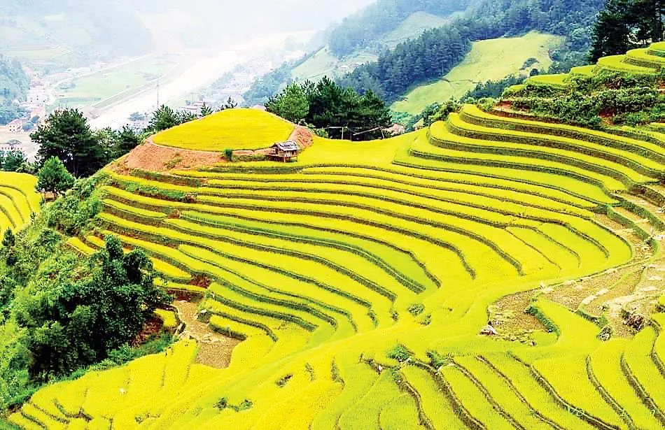 Du lịch Đông Tây Bắc, săn mùa vàng lúa chín ảnh 1 Du lịch Đông Tây Bắc, săn mùa vàng lúa chín ảnh 1