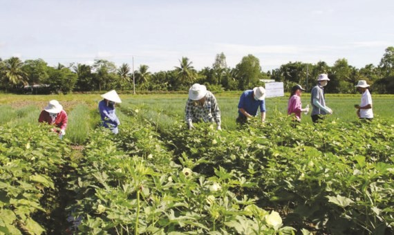 26 int’l students participate in 2017 Syngenta Connections Program