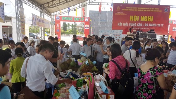 Gần 200 doanh nghiệp tham dự EWEC Đà Nẵng 2017 ảnh 1