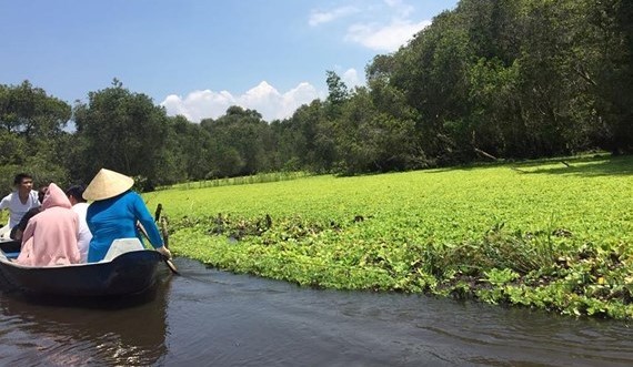 Tra Su cajuput forest in An Giang  (Photo: KK)