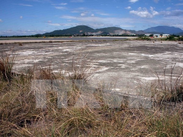 Bien Hoa Airport is considered as one of the dioxin hot spots in the country due to its high level of the chemical. (Source: VNA)