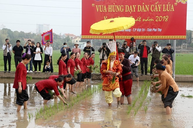 The Hung Kings’ teaching of rice cultivation is re-enacted at the festival (Photo: VNA)