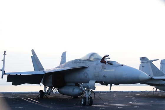 VIDEO:USS Carl Vinson Carrier Strike Group visits Da Nang ảnh 2 Tận mắt chiêm ngưỡng tàu sân bay USS Carl Vinson tại Đà Nẵng ảnh 5
