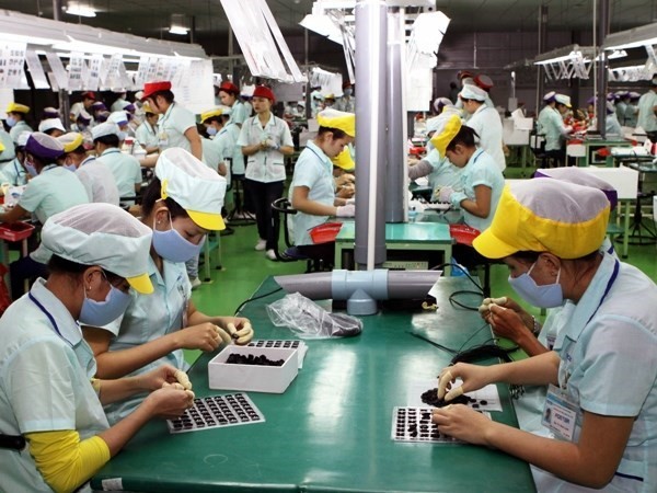 The action month for labour safety and hygiene was launched in Ho Chi Minh City on May 6 (Illustrative image. Source: VNA)